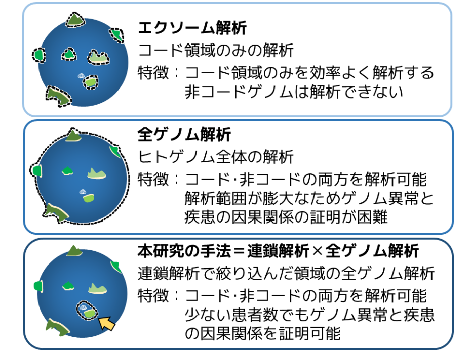 ゲノム研究に用いられる標準的な手法と本研究の手法の比較