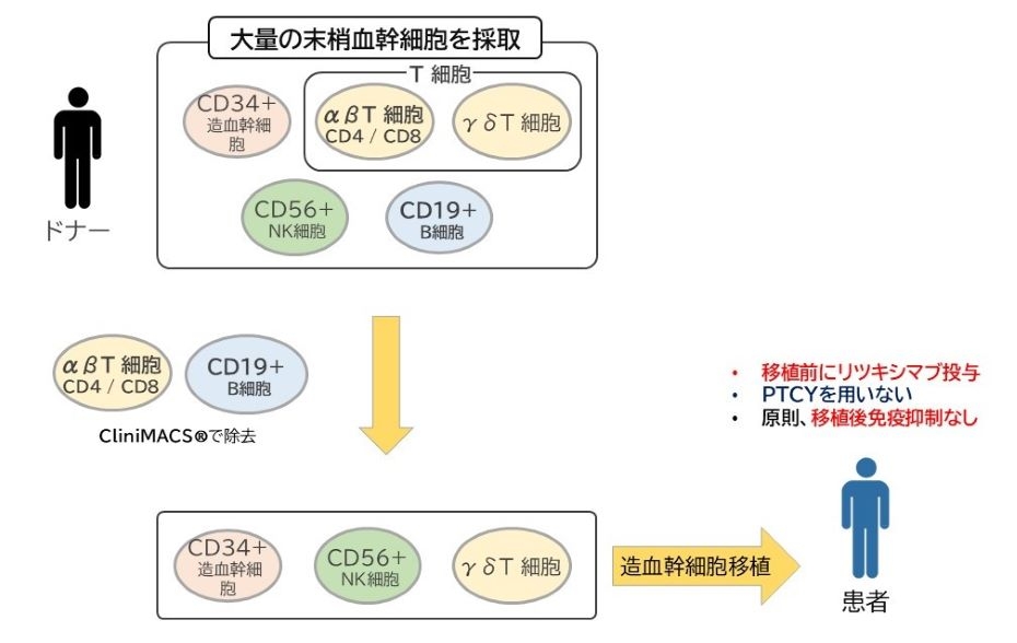 研究の概要図