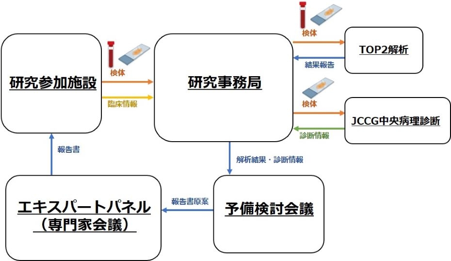小児がんに対するゲノムプロファイリング検査の有用性を確認～オールジャパンの連携体制を確立し全国の小児がん患者さんに精密医療の提供へ～