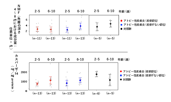 小児アトピー性皮膚炎における角層構成成分の特徴を解析 皮膚バリア機能に関係する”天然保湿因子”と”カスパーゼ-14″の低下が明らかに