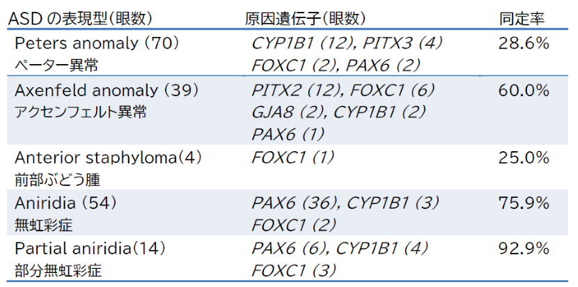表2：ASD/無虹彩症の表現型、原因遺伝子、同定率
