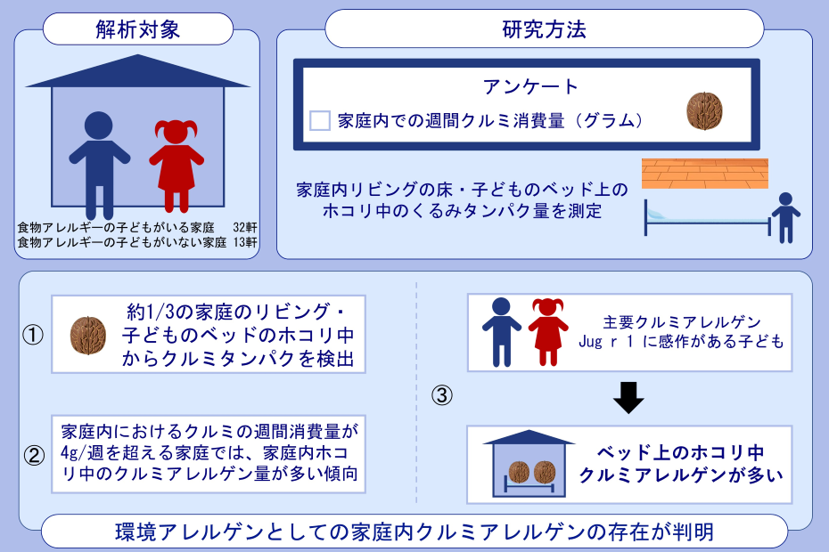 図1：研究結果のまとめ