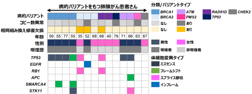 図3. 生殖細胞系列病的バリアントを有する症例の腫瘍でみられる体細胞遺伝子変化
